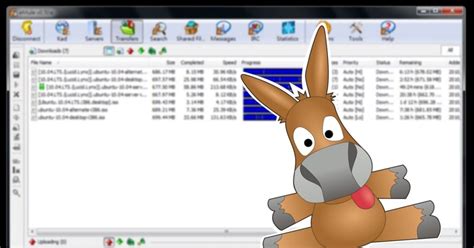eMule 2024: Los mejores servidores para descargar .
